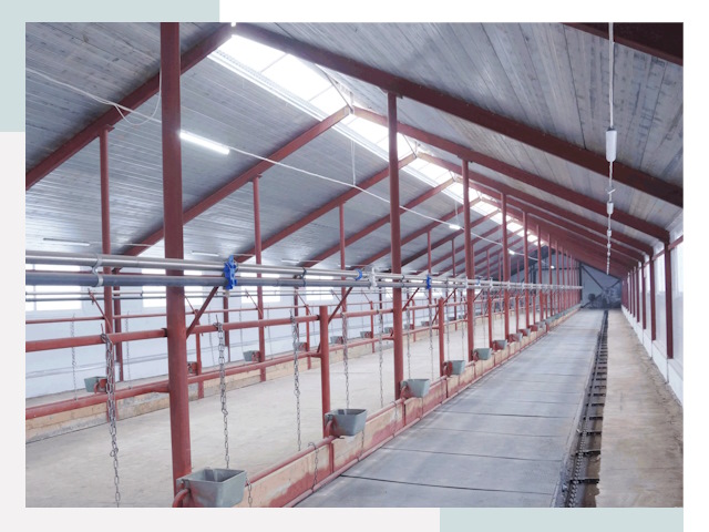 Строительство коровников в Новосибирске от 610 руб.