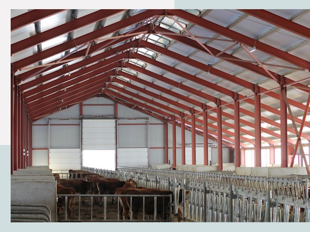 Строительство коровников в Новосибирске