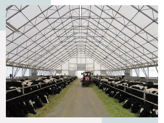 Тентовые коровники в Новосибирске от 610 руб. - Надежно и доступно