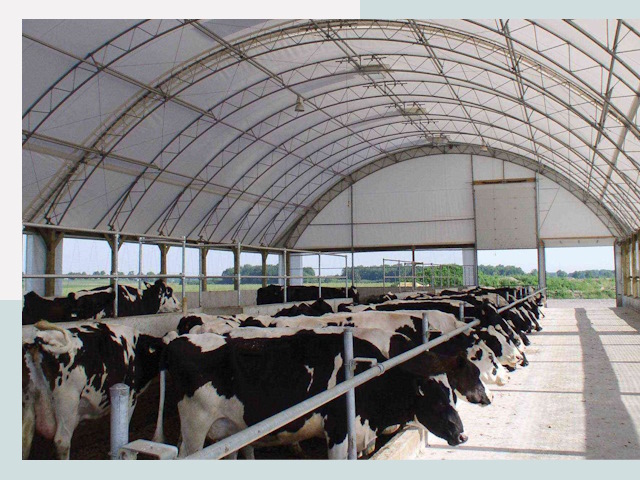 Тентовые коровники в Новосибирске