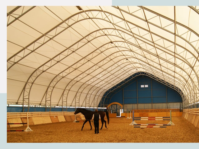 Строительство конных манежей в Новосибирске